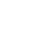 Scarica in pdf