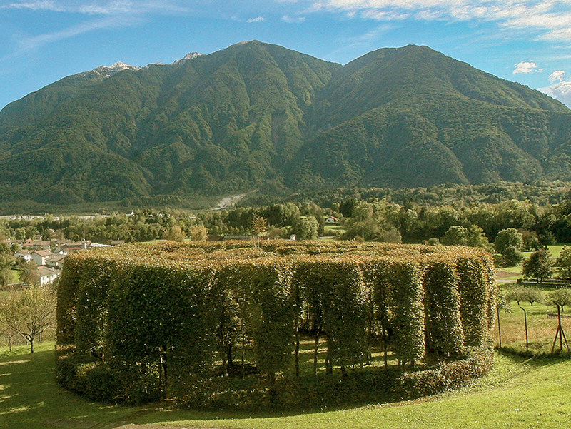 La verde attrazione