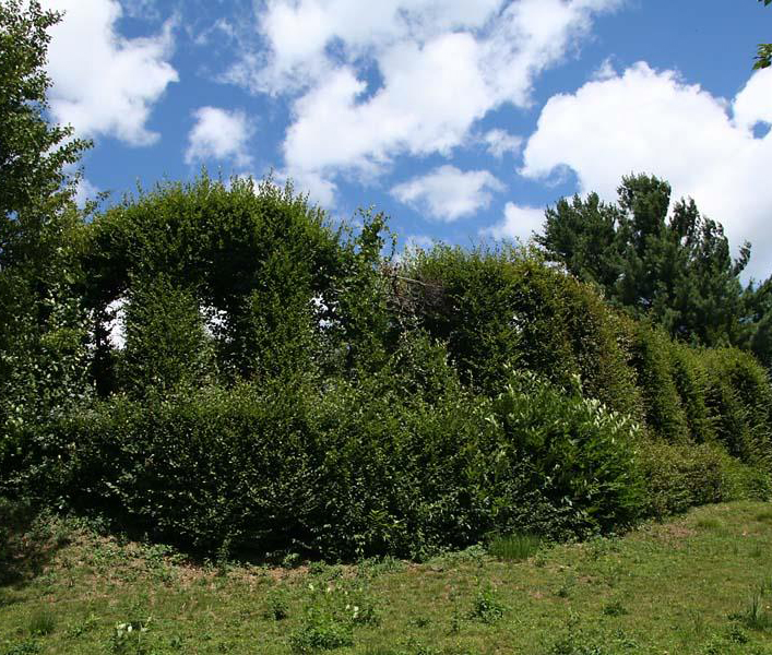 LA VERDE ATTRAZIONE Guida alle architetture del verde: uccellande storiche in Friuli